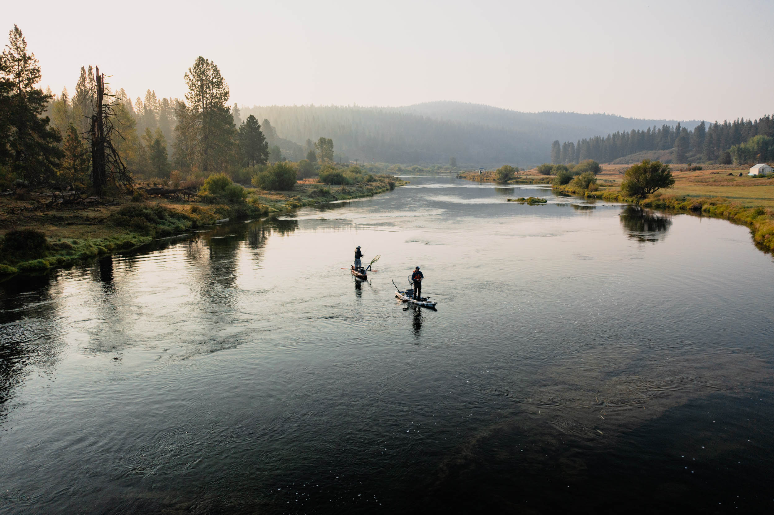 Make it a Feelfree New Year