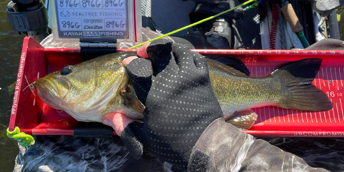 Tips from the Pros: Tournament Fishing Done Right 3 of 3: Tournament and Evaluation