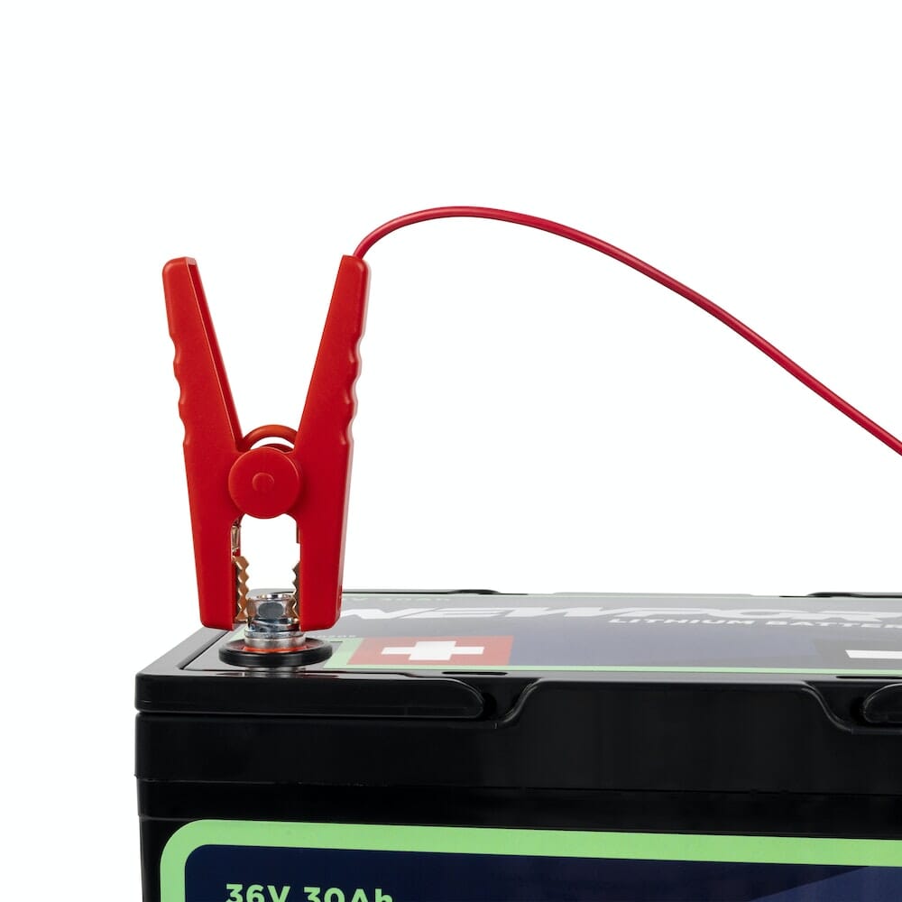 Newport Vessels 36V Battery Charger